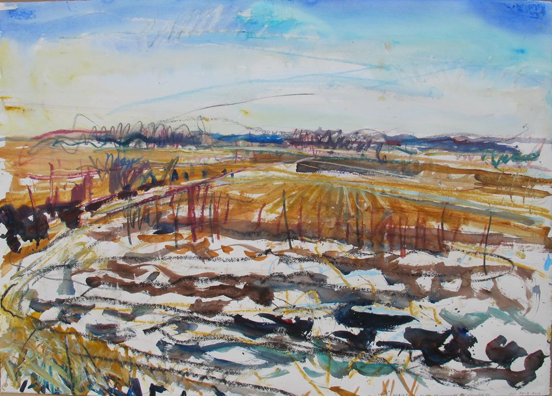    Peel Plain 30-March    2016 acrylic and pastel on canvas 25×35 inches $3500 