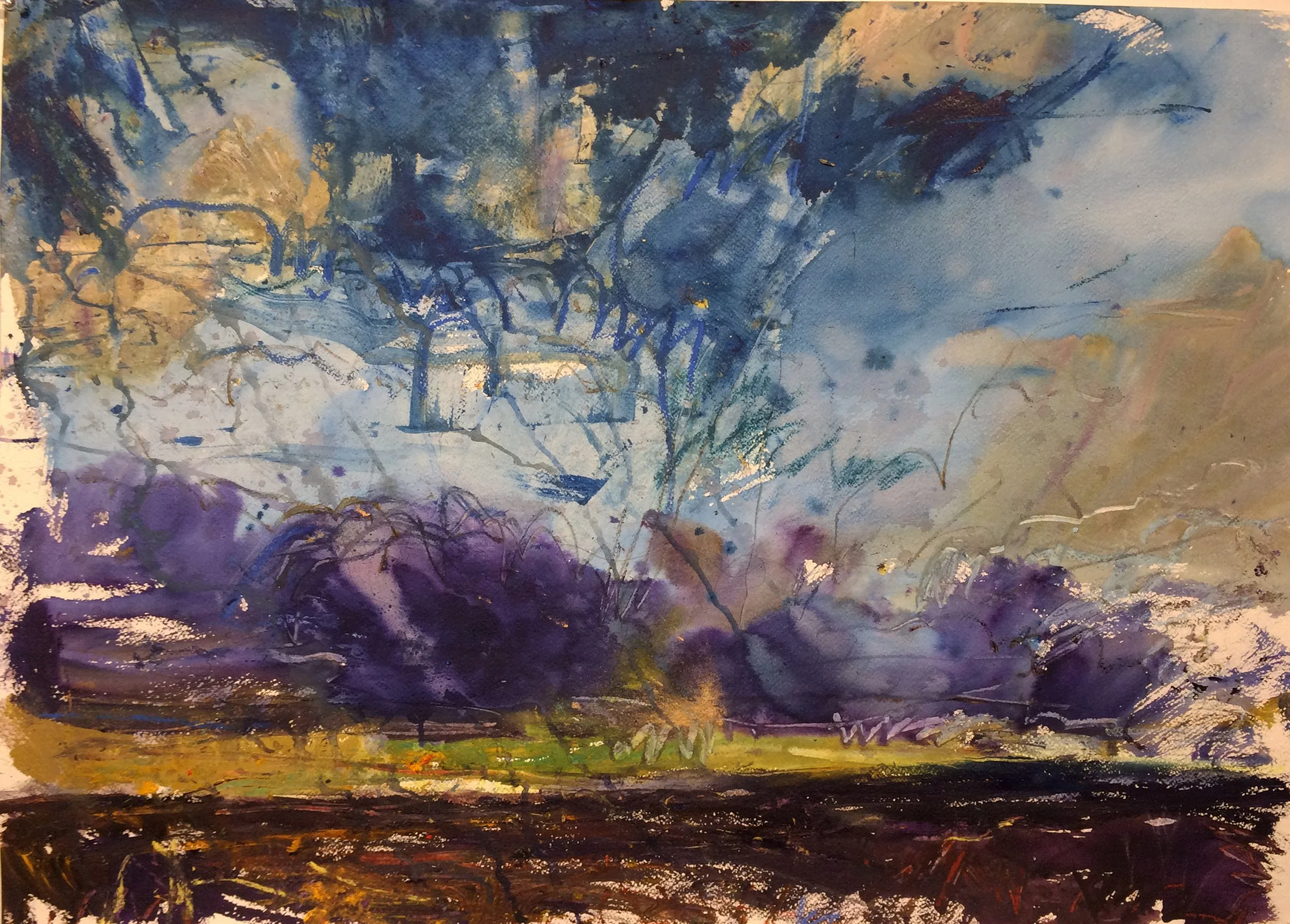    Peel Plain 16-Oct    2016 acrylic and pastel on paper 25×35 inches $3500   