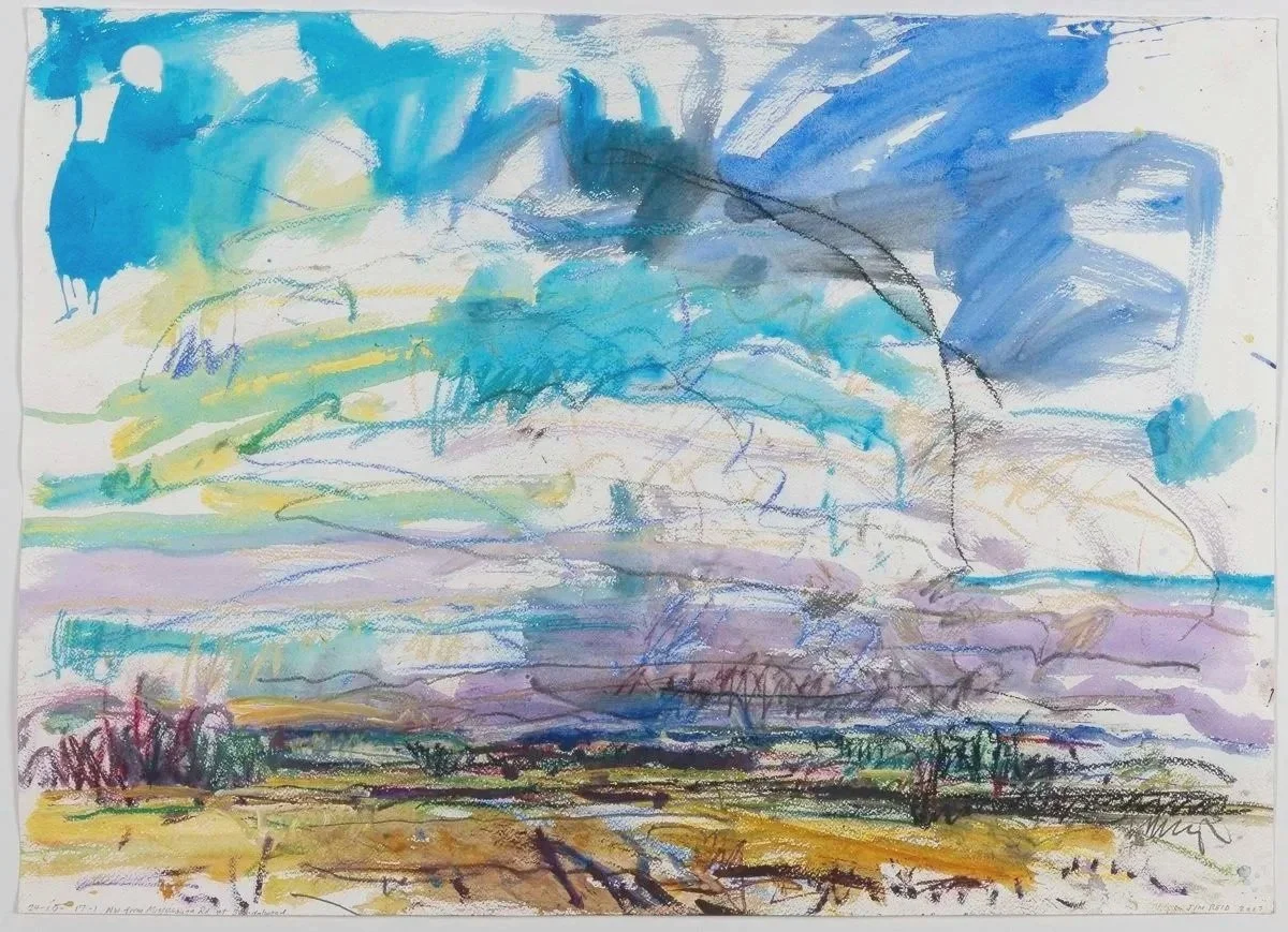    Peel Plain 24-Oct    2017 acrylic and pastel on paper 25×35 Inches $3500 