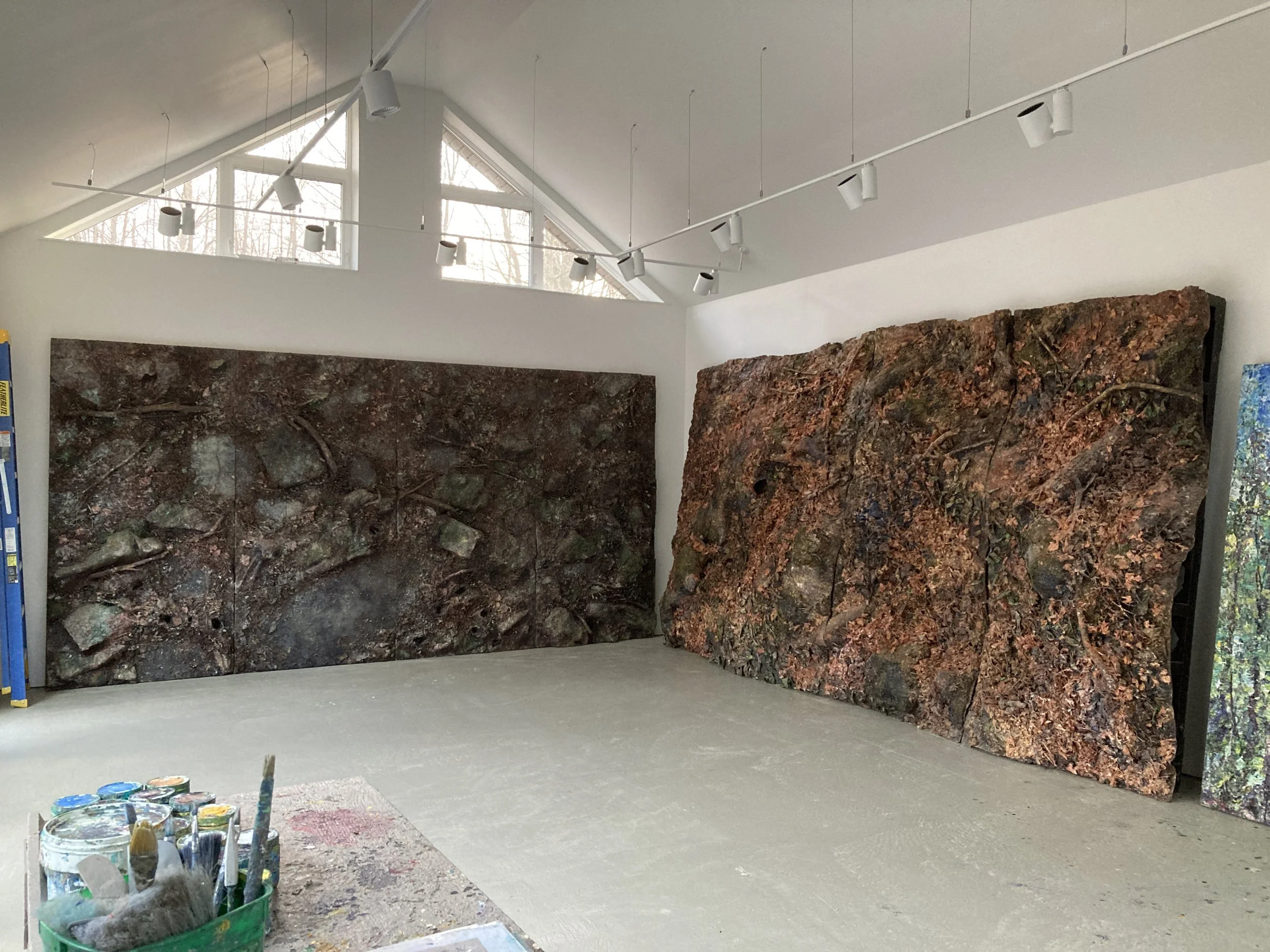  My studio is in a wooded area on the Niagara Escarpment. This place has been at the core of my practice since the 1980s and it has a long history of disruption and renewal. It is within the bounds of the Ajetance Treaty 19 (1818) and the Mississauga