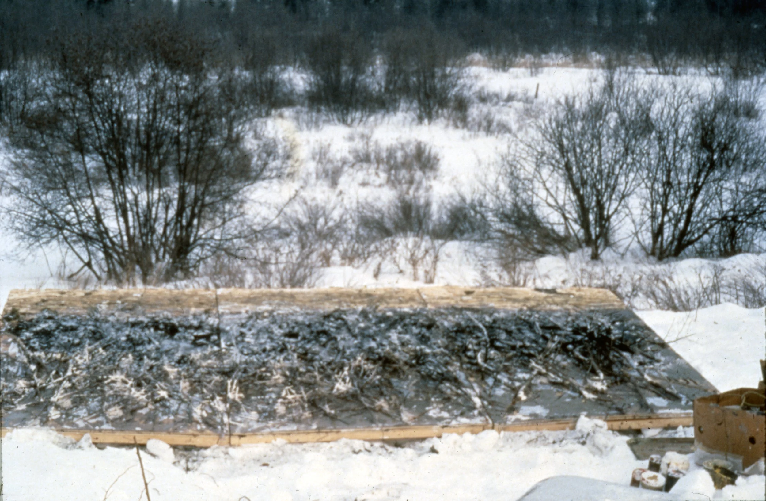   Mere Bleue Bog  work in progress: building the under-structure. Mere Bleue Bog Conservation Area near Ottawa Ontario, 1983 