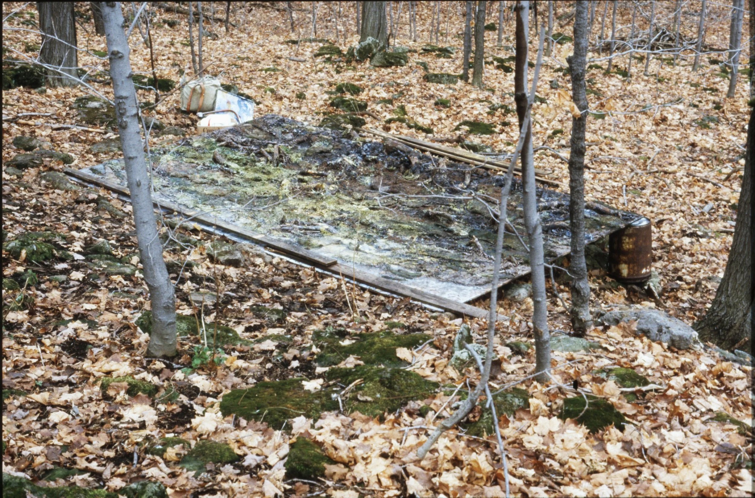   The Niagara Escarpment  was once an ancient seabed. It is now a 725 kilometre-long forested ridge of limestone traversing Southern Ontario. It has been shaped by both geological and human forces. Despite having been designated a UNESCO Biosphere Re