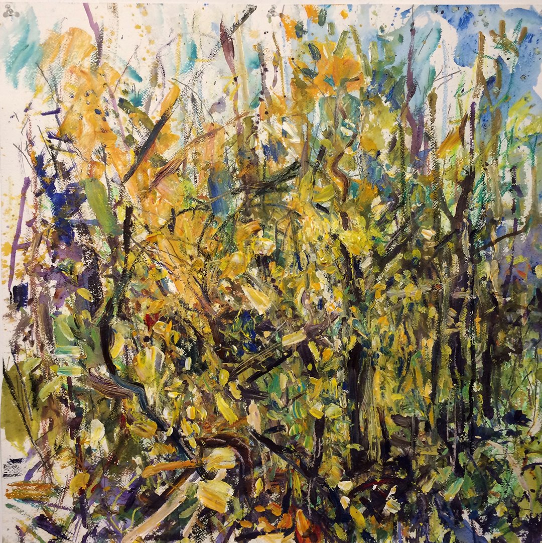    Rockside Woods 17-Oct-2017    2017 acrylic and graphite on paper 30×30 inches Private collection 