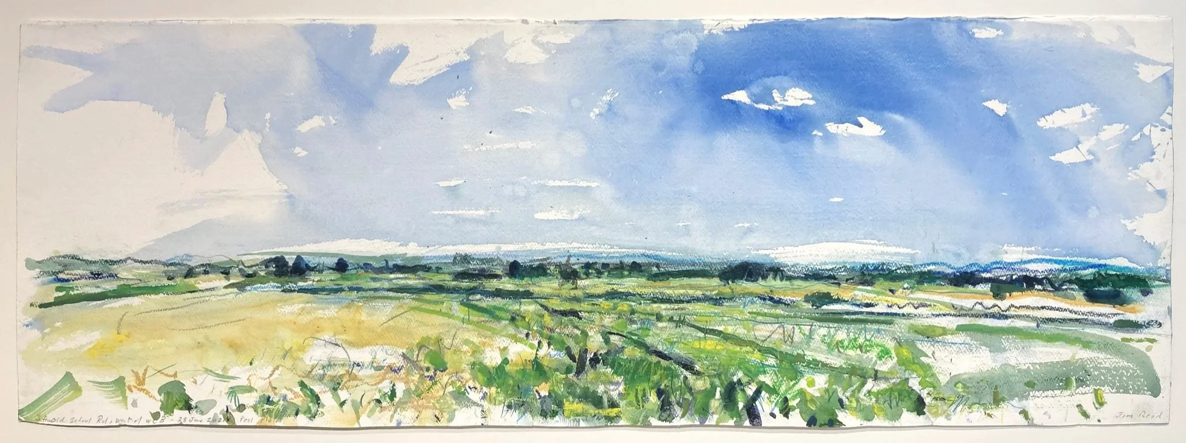    Peel Plain 28-June-2021  S. from Old School Rd, E. of Winston Churchill Rd    2021 watercolour and pastel 13×39 inches $3000 