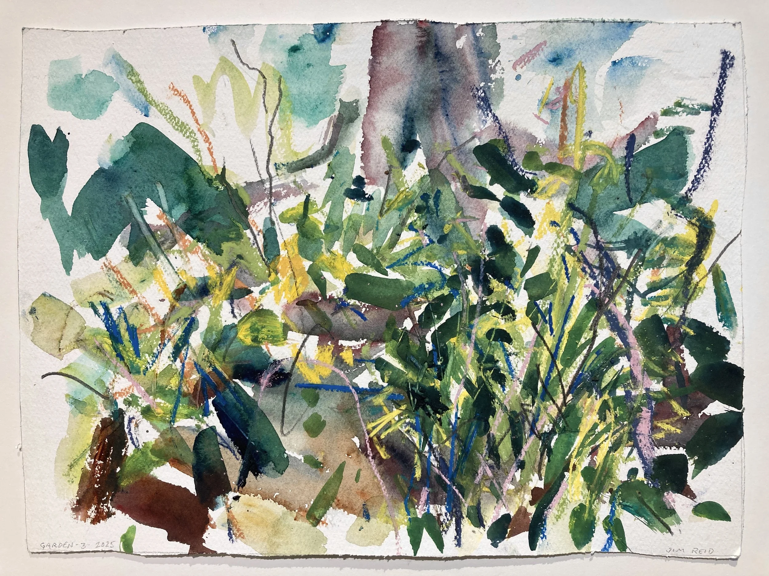    Garden-3    2025 watercolour and pastel 11×15 inches $1200 