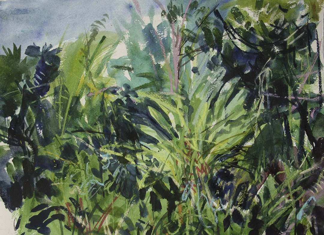    St. Lucia 5    2015 11”x15” 