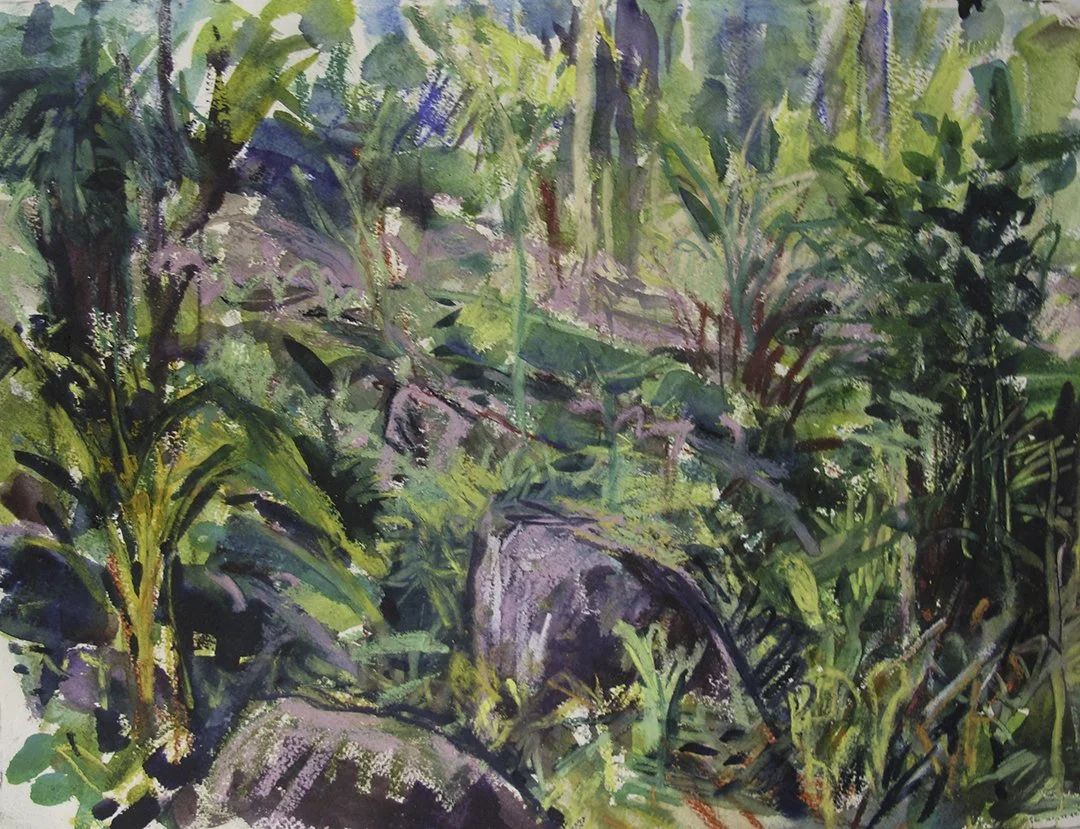    St. Lucia 7    2015 11”x15” 