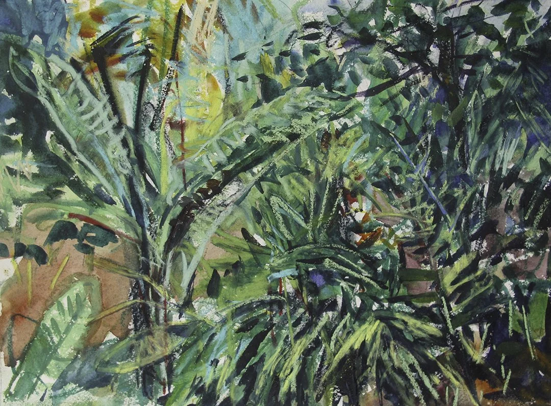    St. Lucia 8    2015 11”x15” 
