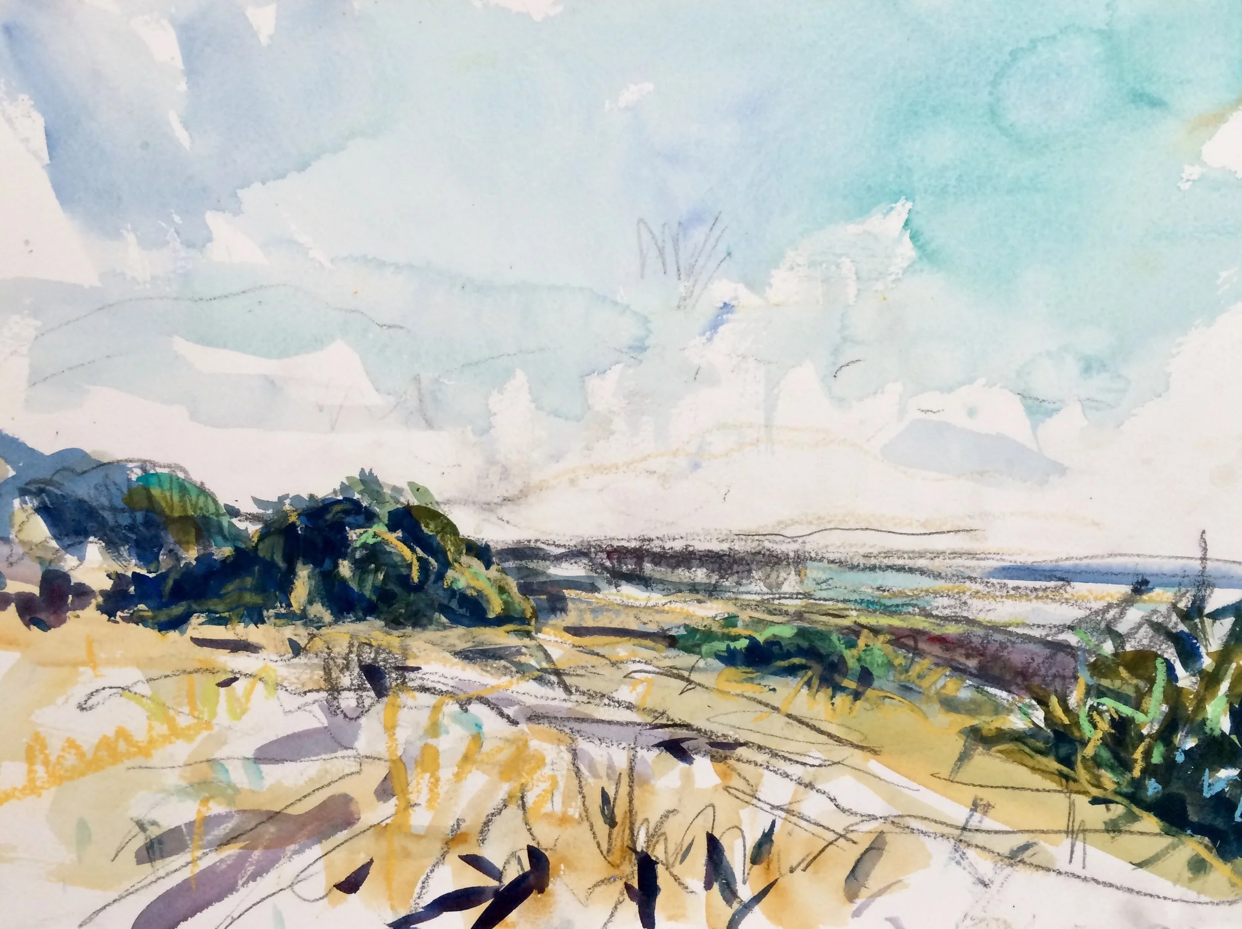 2019 Barbados 5. 11%22x15%22.jpg