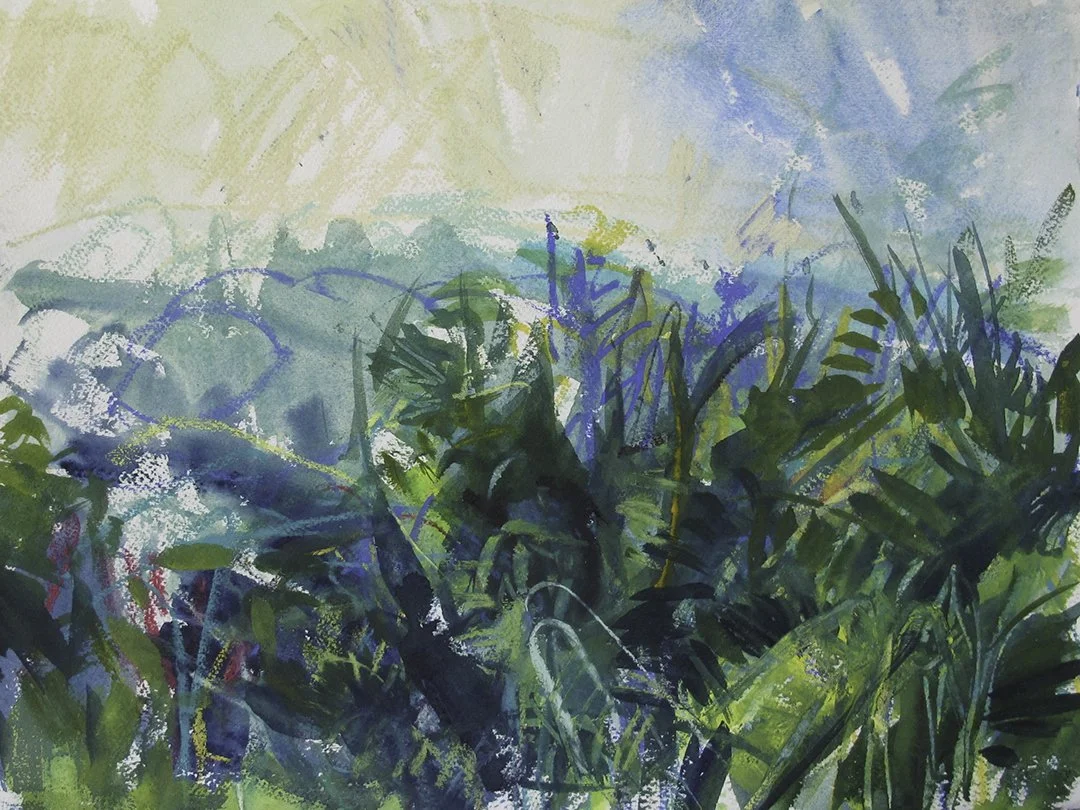    St. Lucia Rainforest 1    2015 watercolour with graphite &amp; pastel 11”x15” 