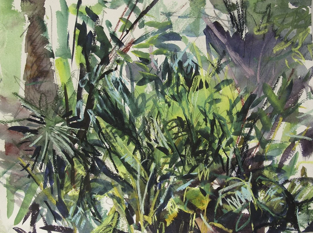    St. Lucia Rainforest 2    2015 watercolour with graphite &amp; pastel 11”x15” 