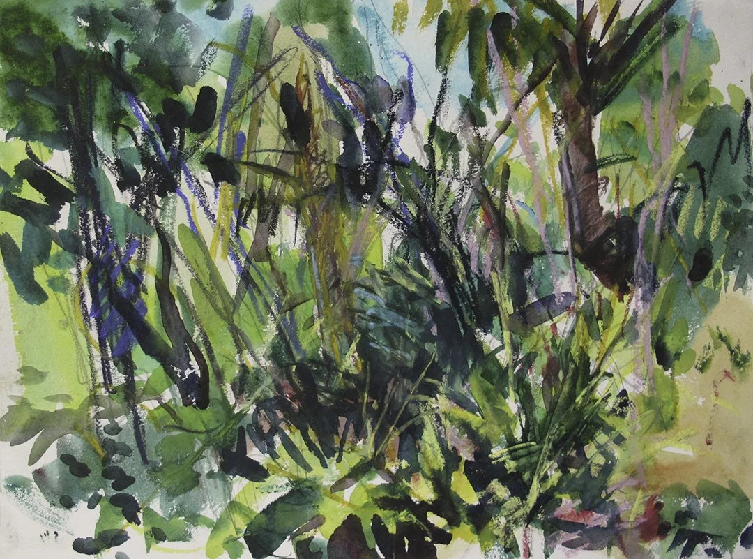    St. Lucia Rainforest 3    2015  watercolour with graphite &amp; pastel 11”x15” 