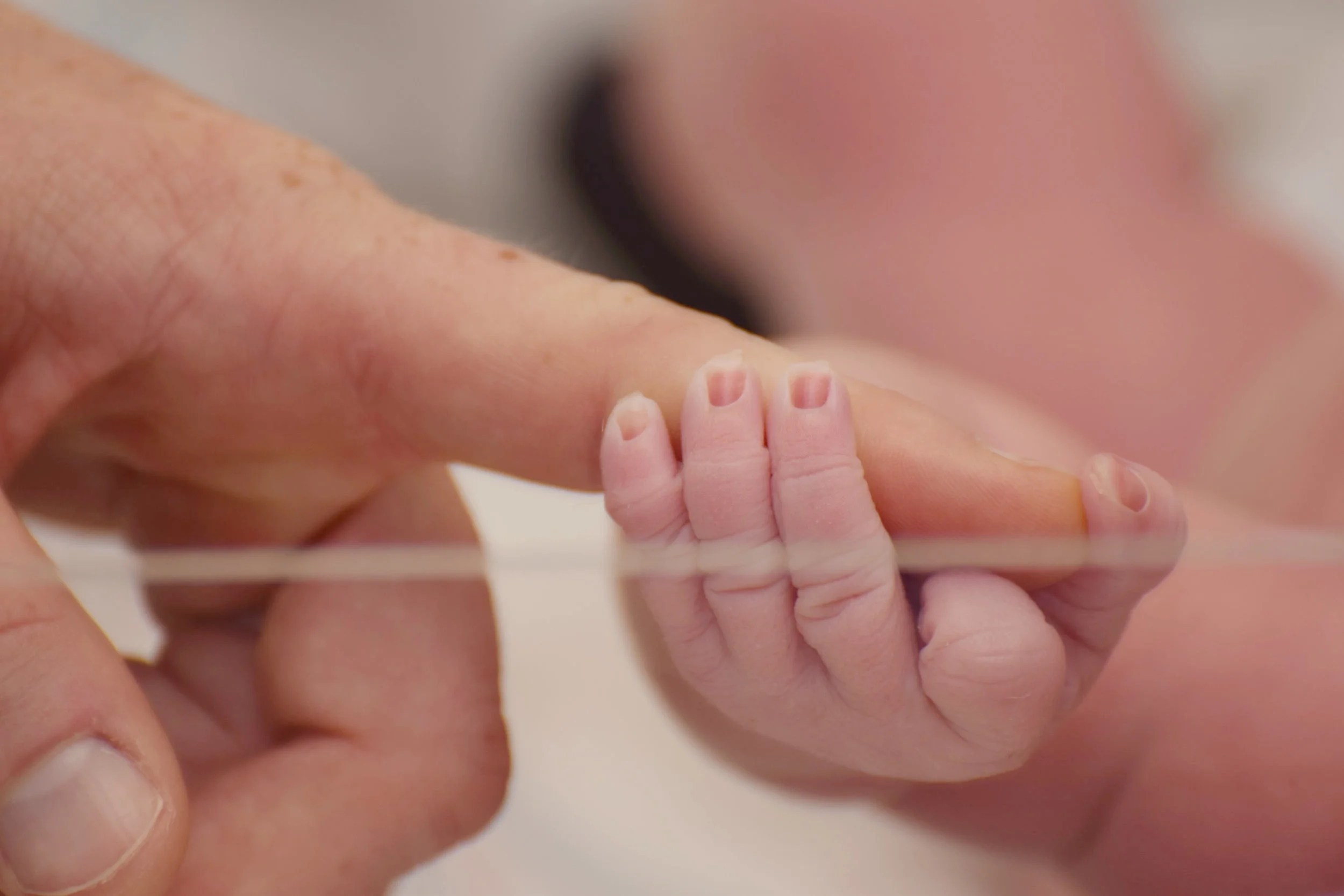 Hospital Newborn Portraits