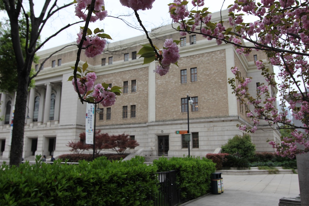 Looking eastward towards the Shanghai Concert Hall from among a colonnade of cherry trees blossoming in the nearby park
