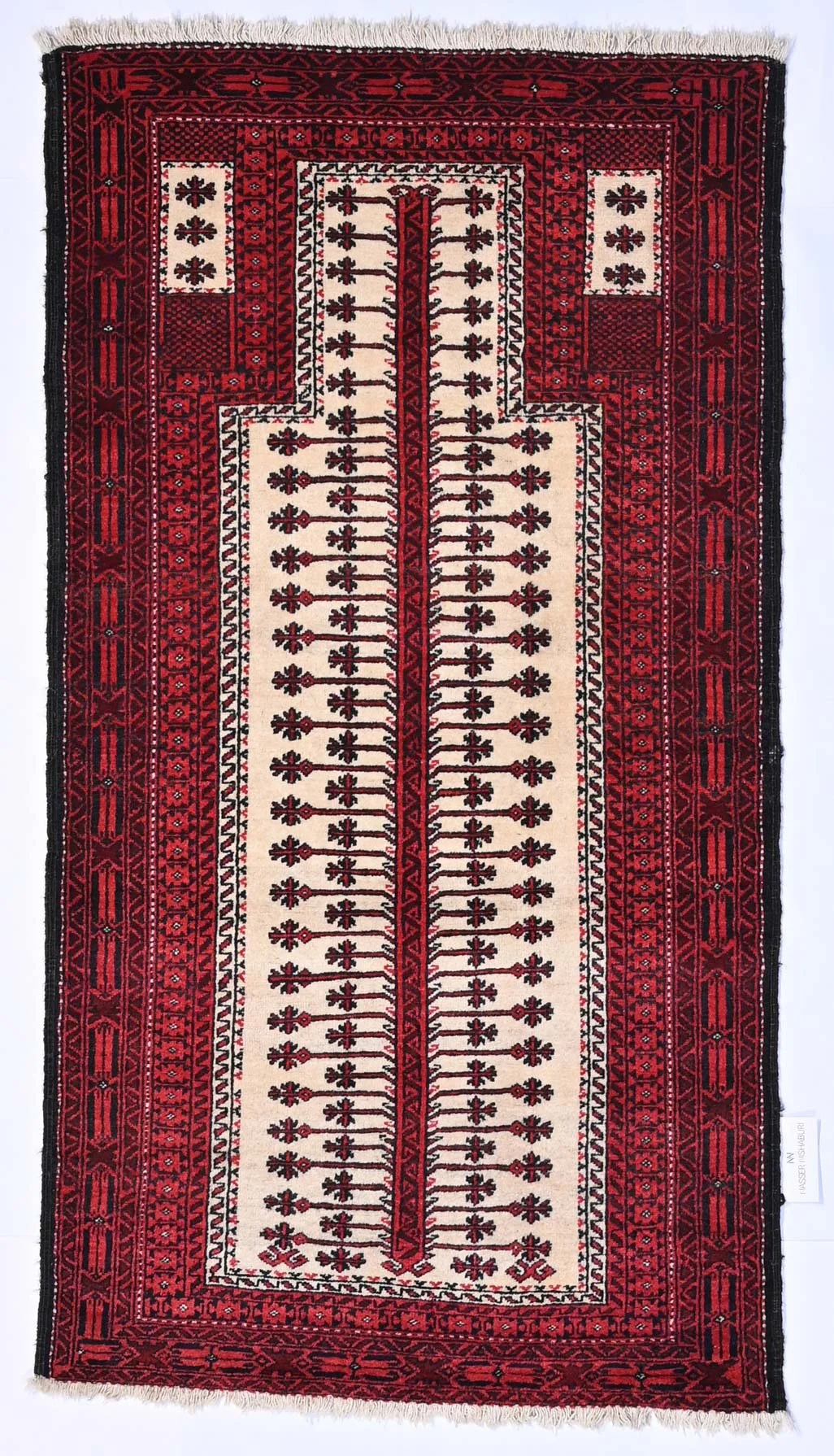 31652-158x85.jpg
