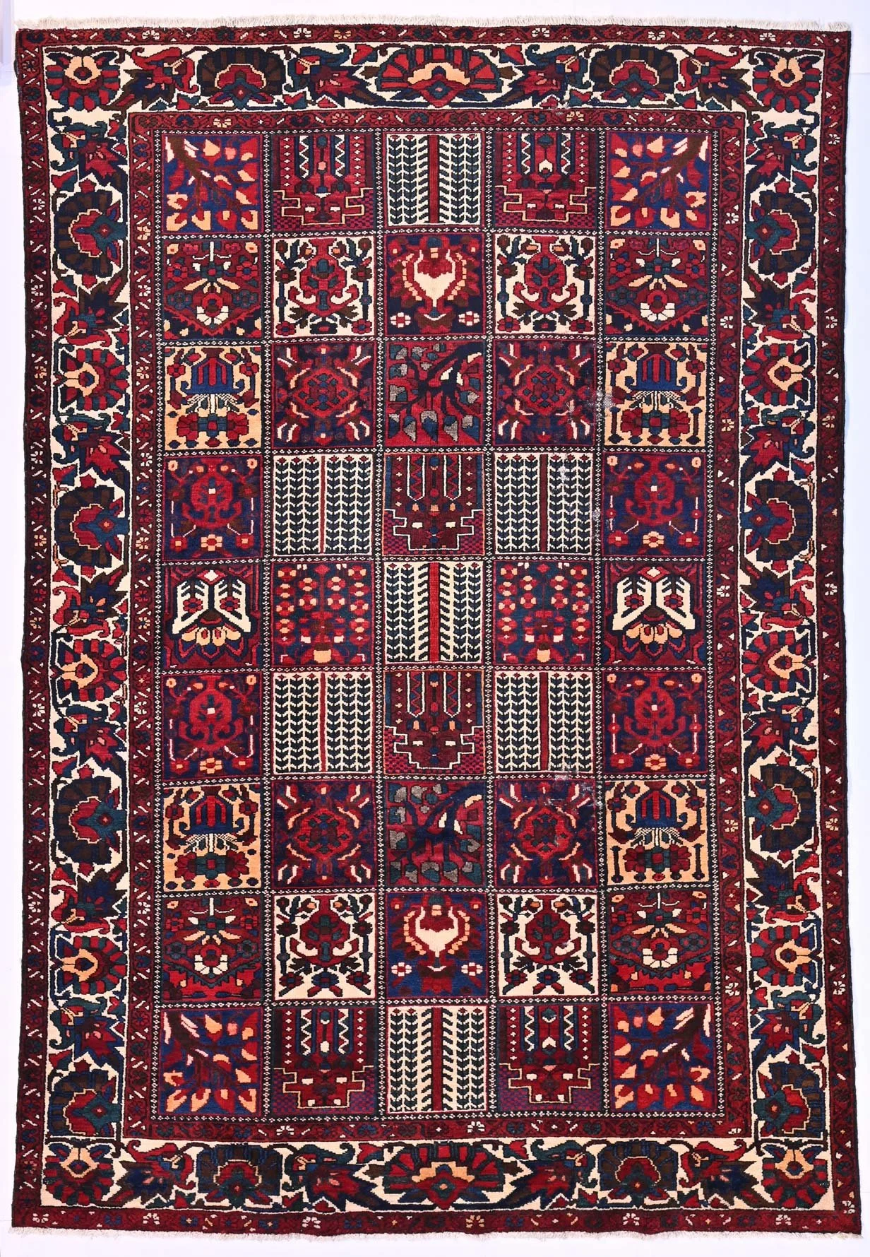 64487-313-x-213-.jpg