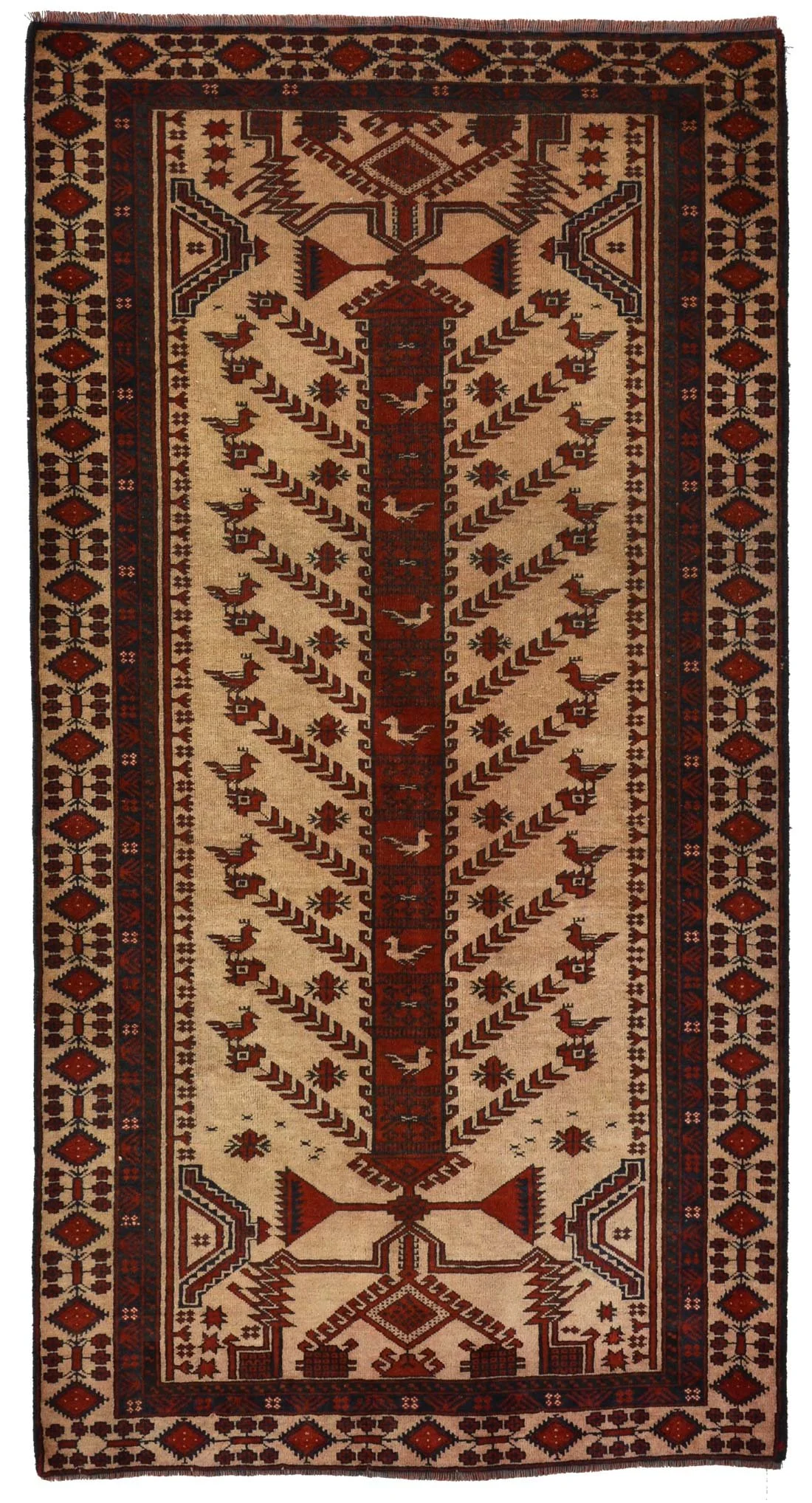 172383-173x90.jpg