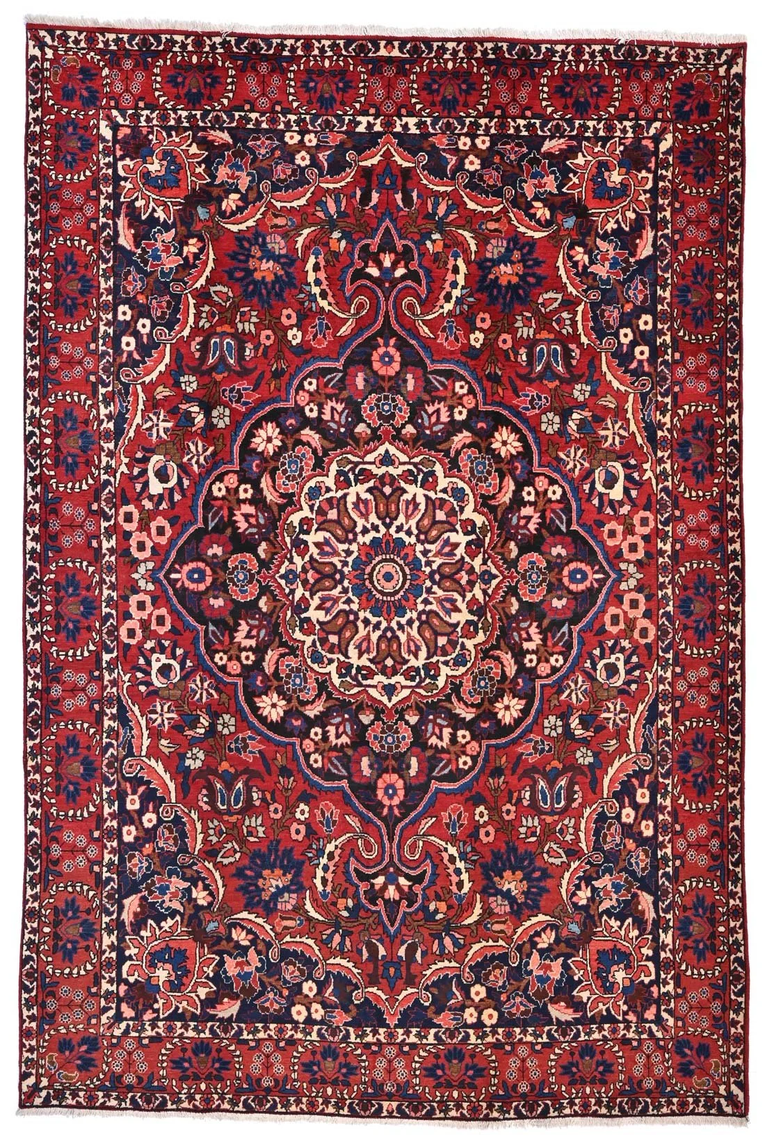 80794-228x312.jpg
