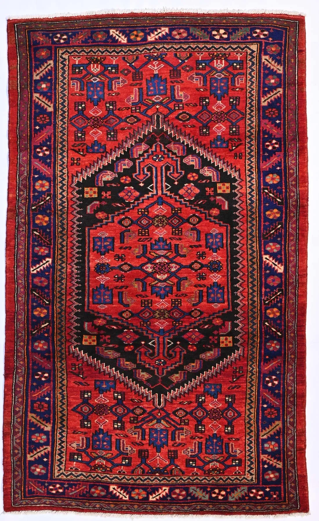 145242-218x130.jpg