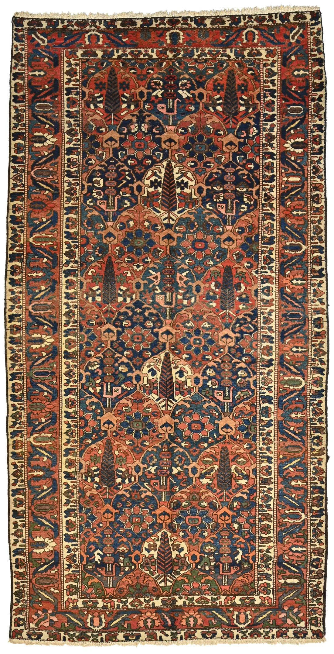 25538-152-x-294.jpg