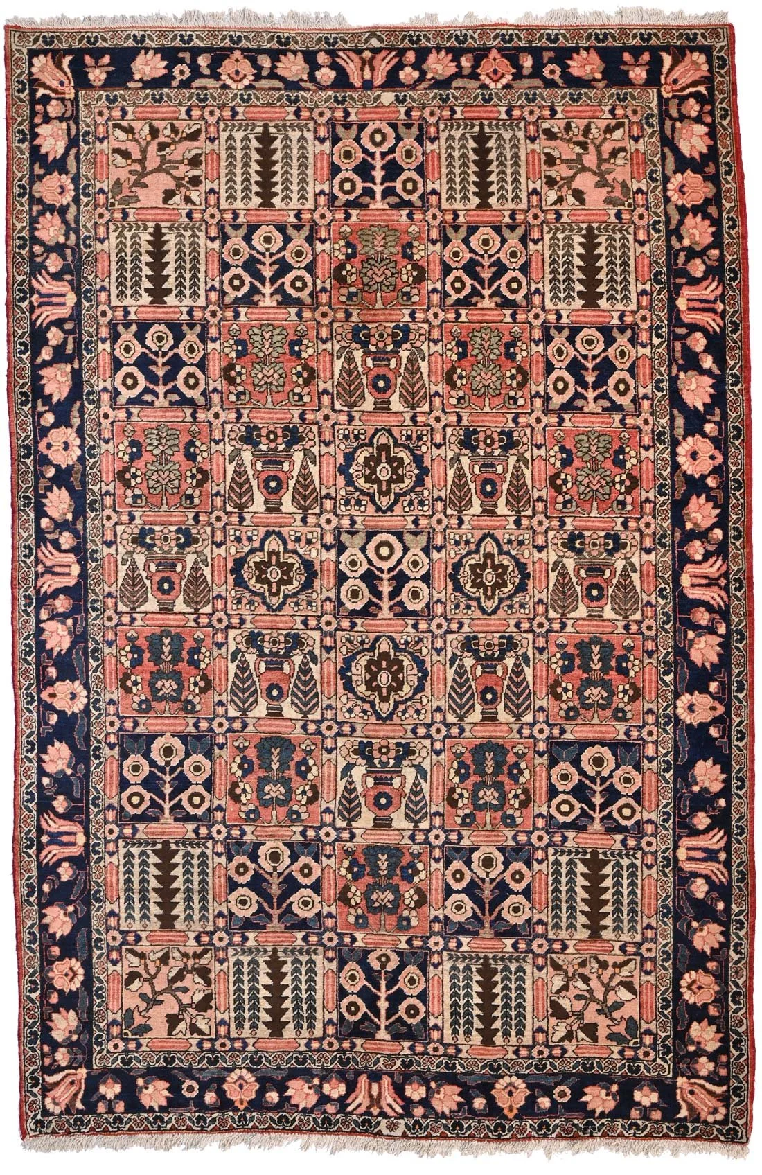 52780-245x164.jpg