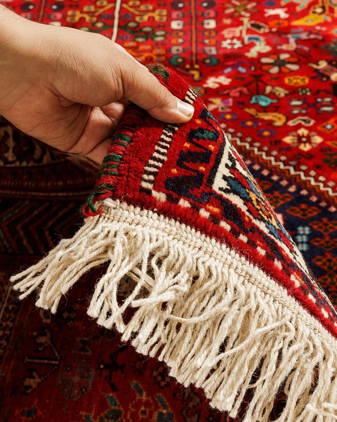 172999.290x208 (11).jpg