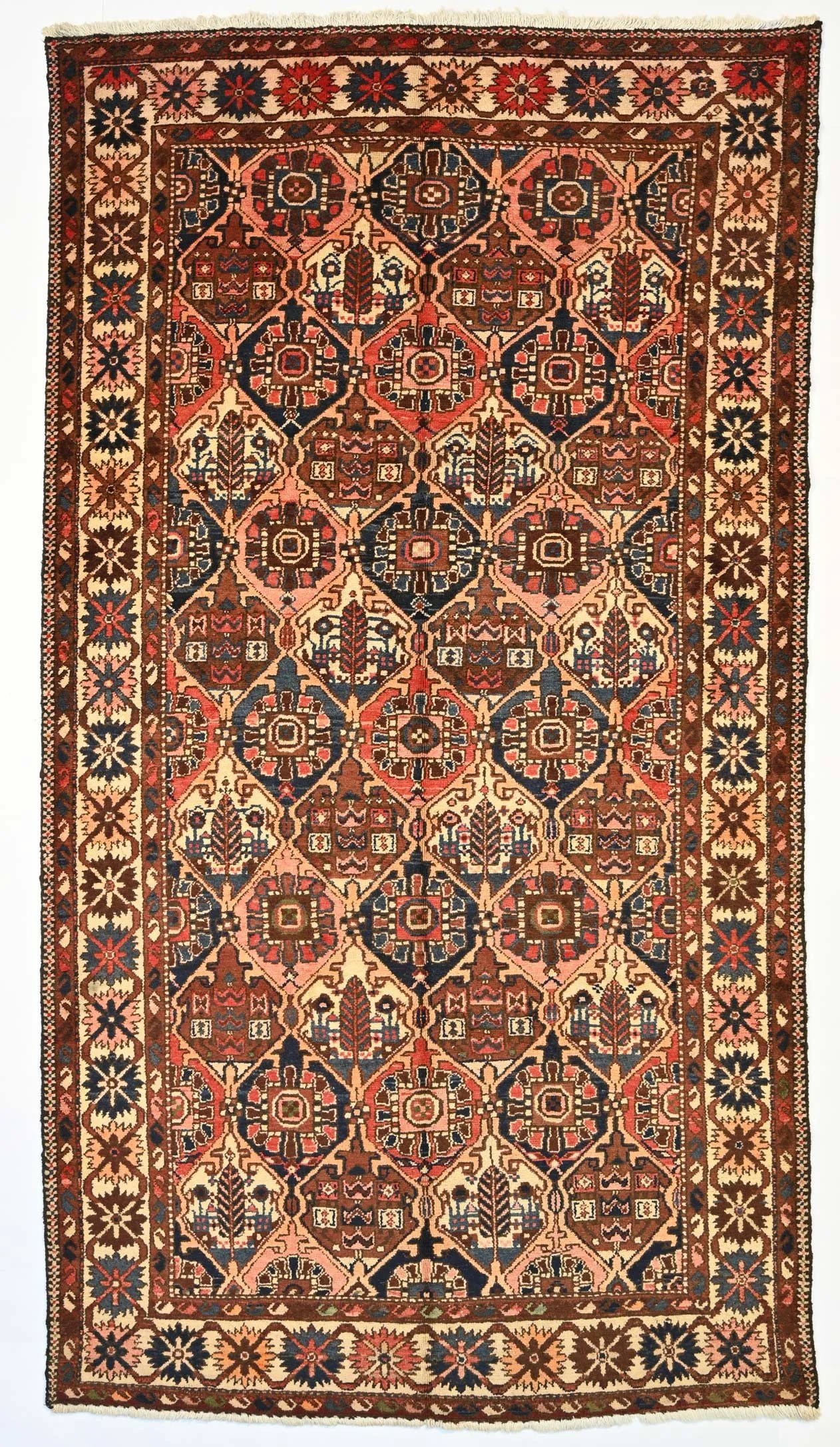 23455-294x161.jpg