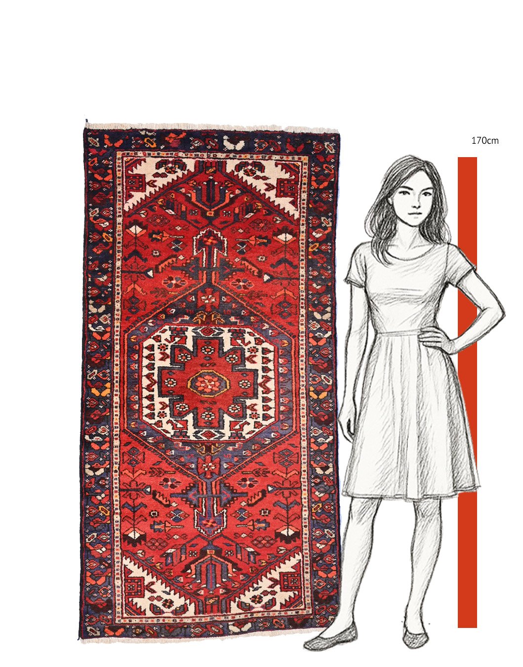 scale-of-rugs-27851.jpg