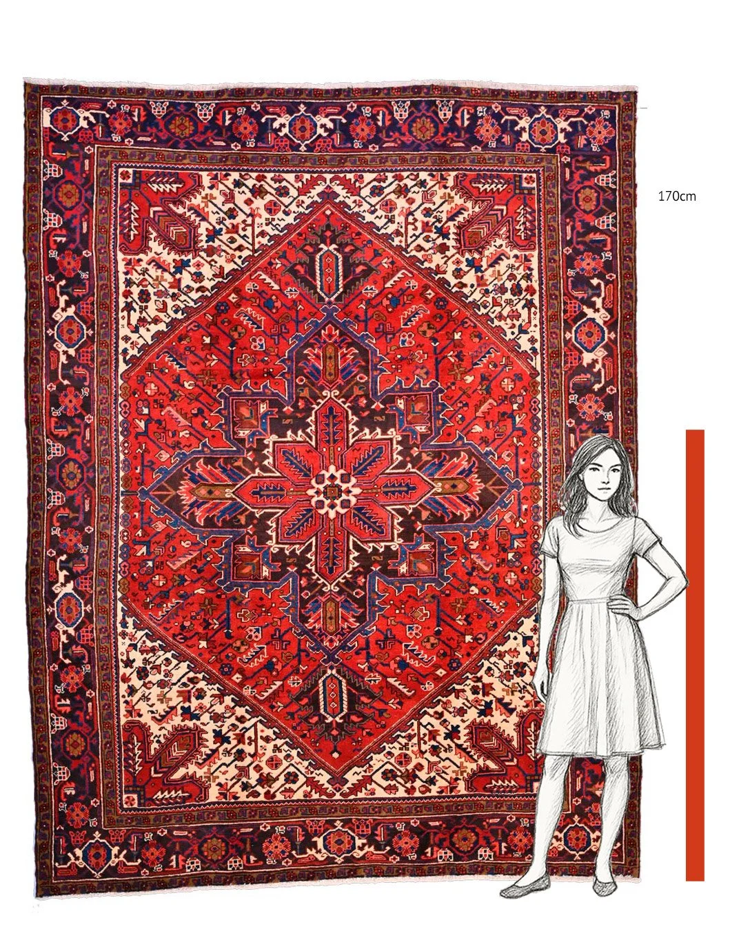 scale-of-rugs-150012.jpg