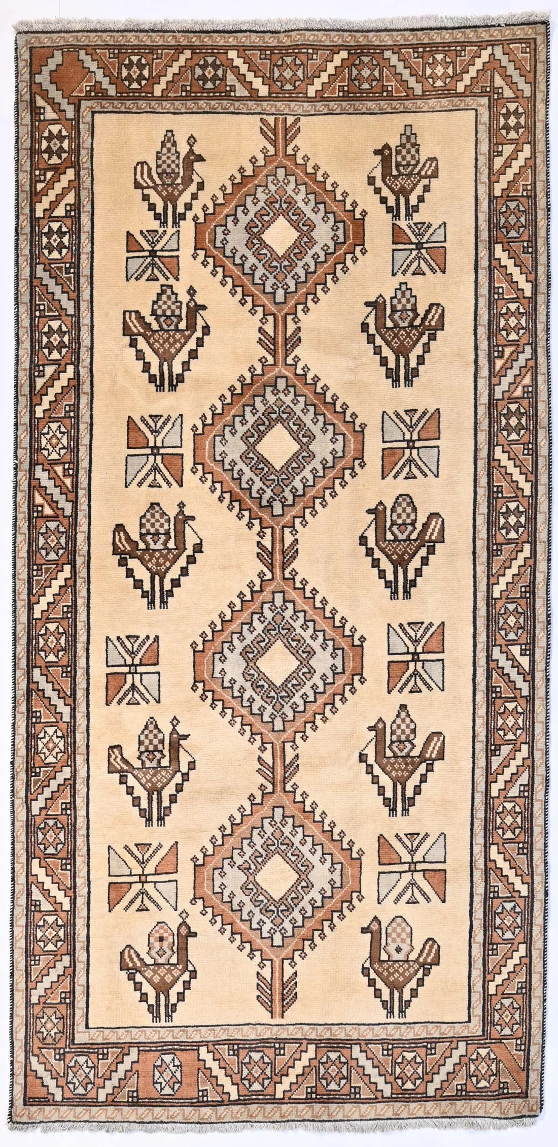 164049-250x231- Shuli Qashghai.