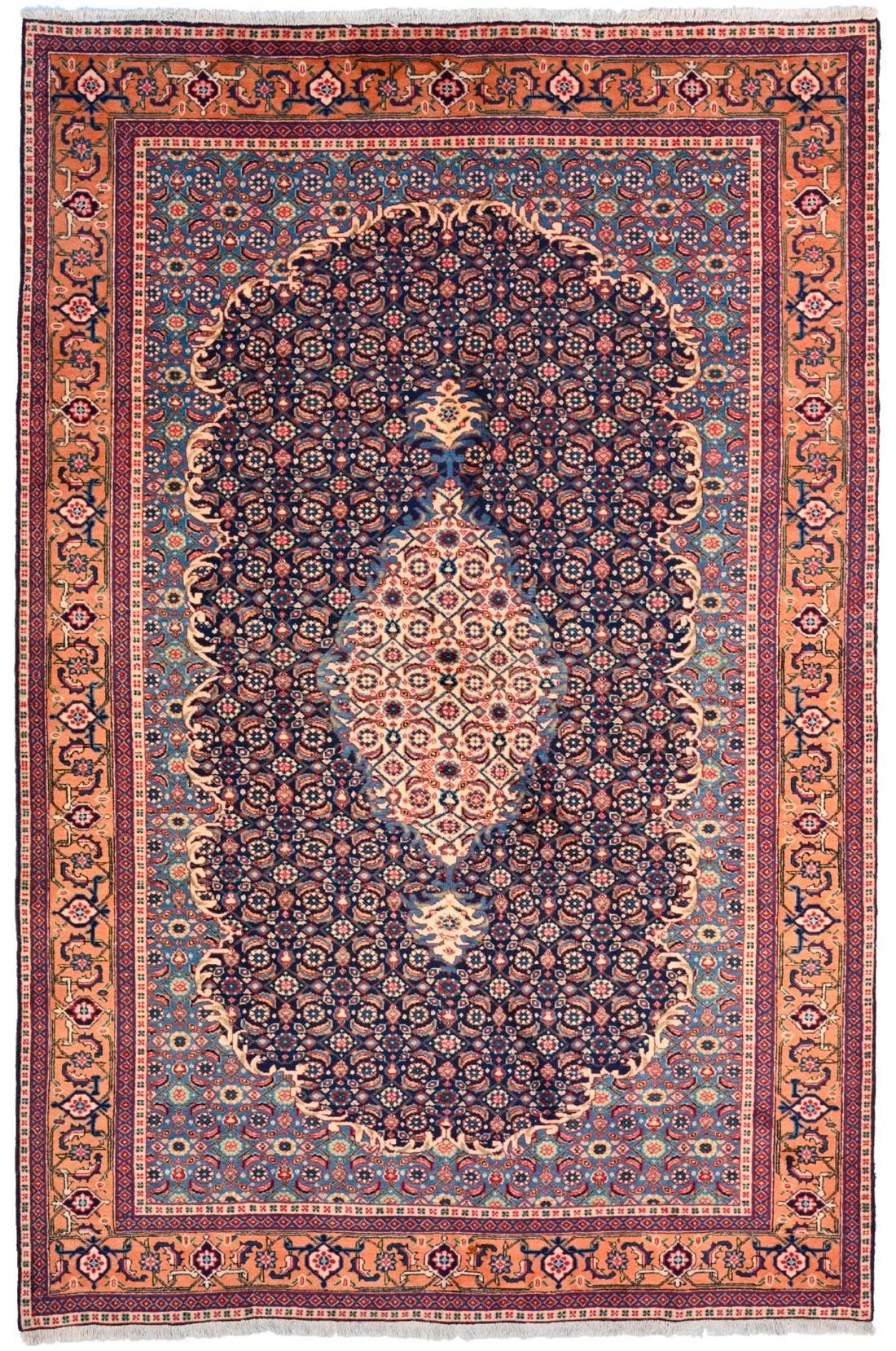 80648-193-x-293-.jpg