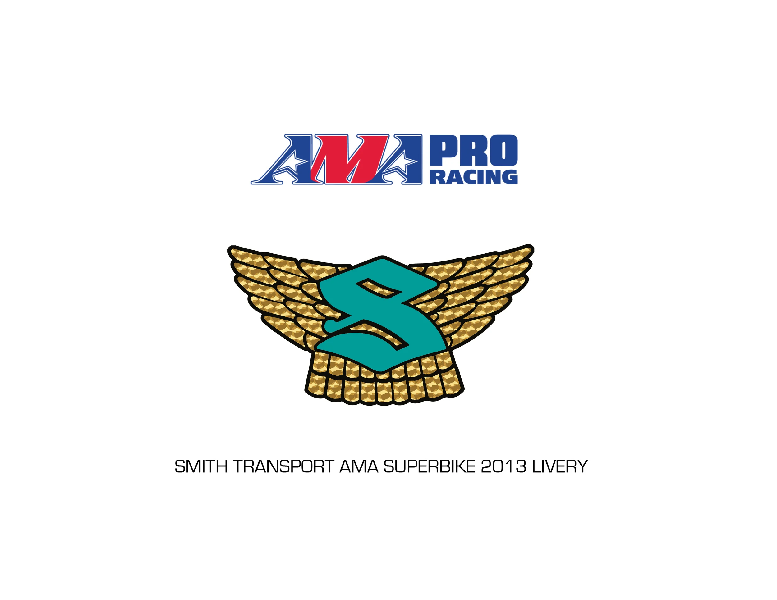 AMA SUPERBIKE NO DECALS.jpg