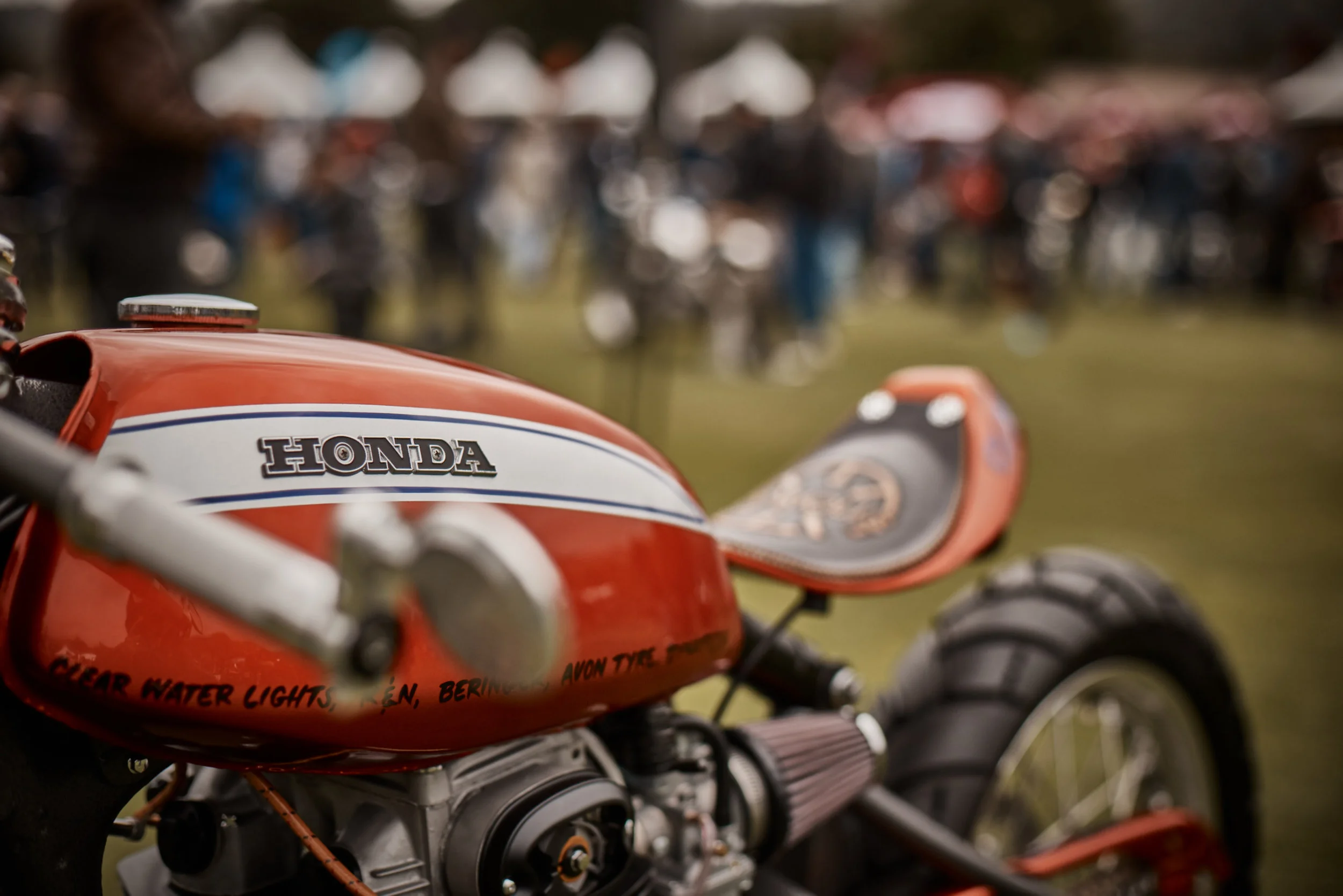 Quail 2017 3.jpg