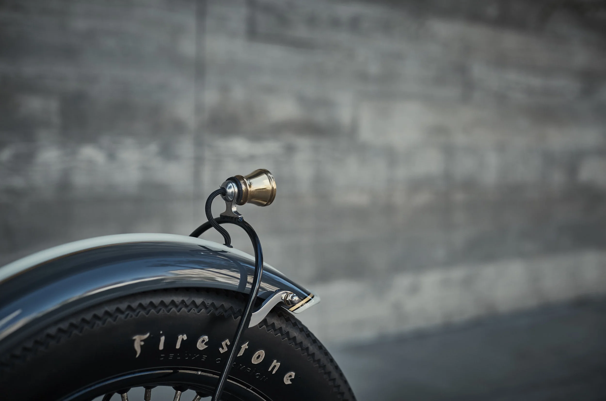 Rich-Tesla bike 2 32.jpg