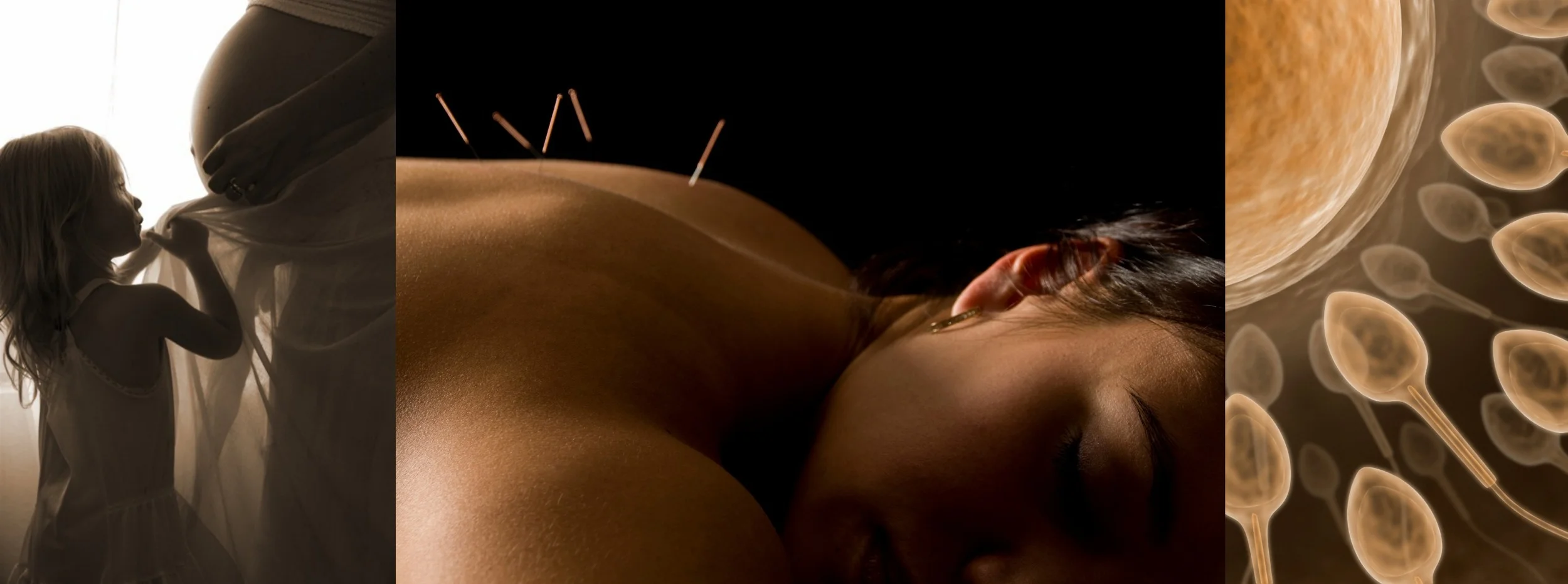 Linda Fields Acupuncture And Oriental Medicine