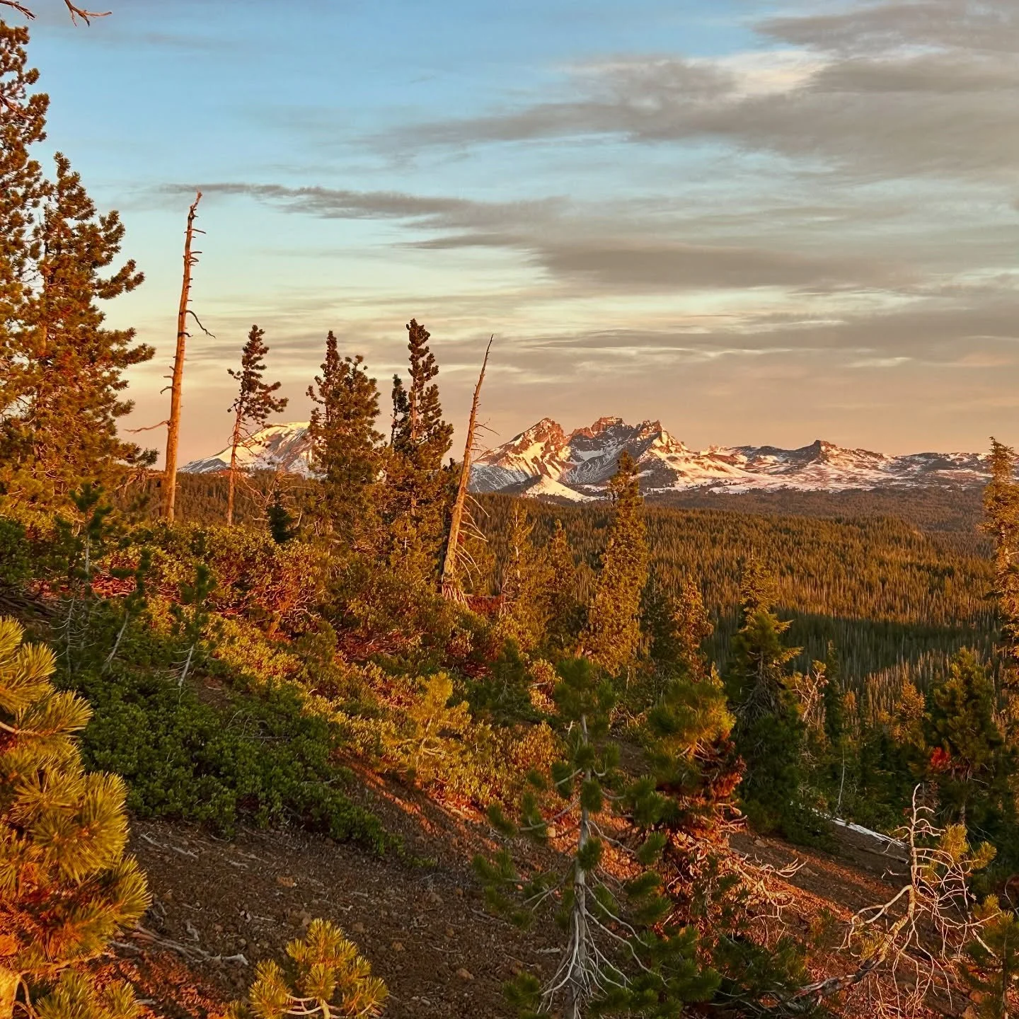 The first time I met Jeremy for a run, I was nervous and intimidated. I worried I&rsquo;d be too slow, hold him back, talk too much&mdash;or not enough. Maybe Scrambles wouldn&rsquo;t be stoked to have another set of feet on the trail. The stories in