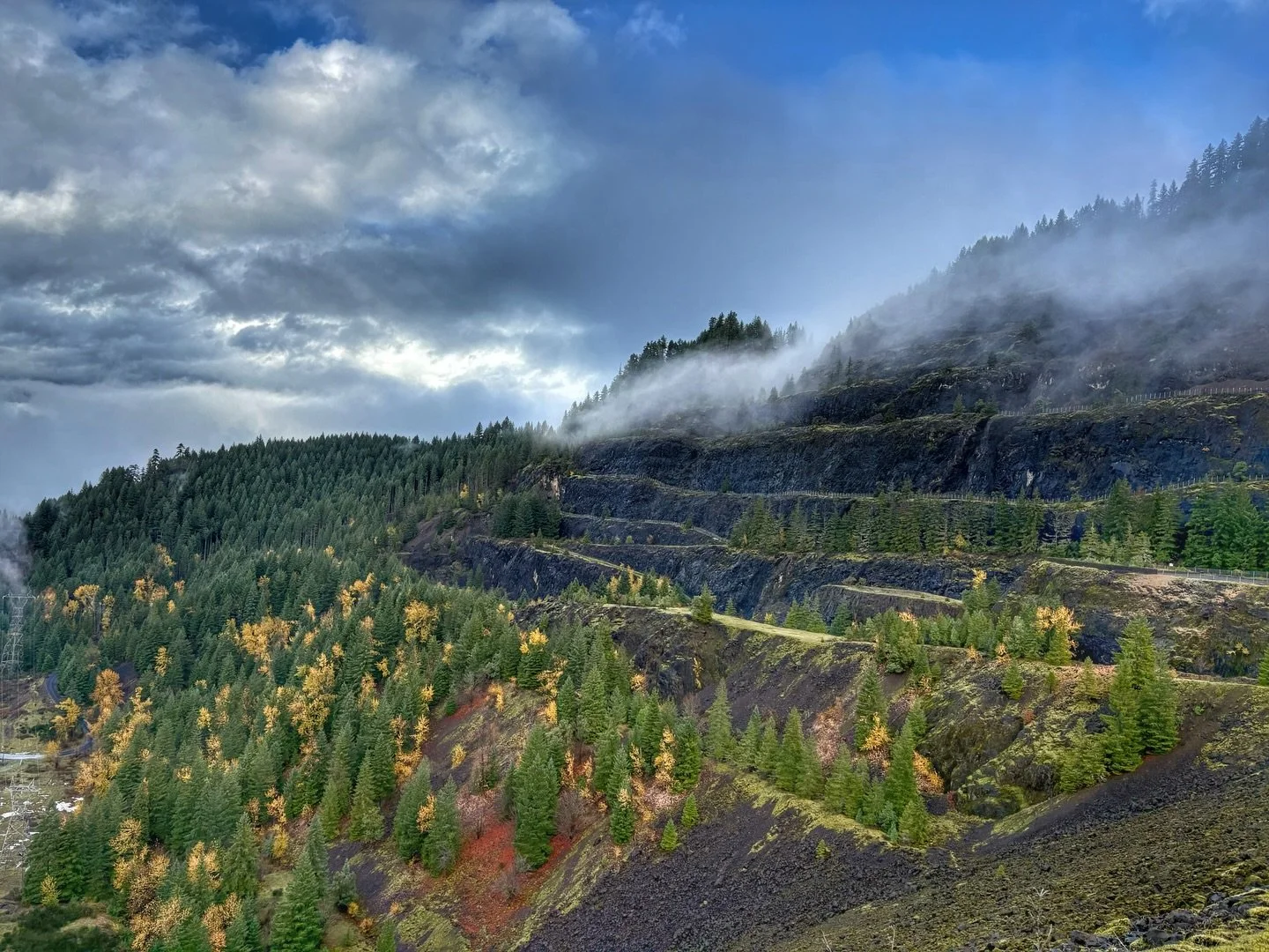 Full of gratitude and joy on this moody Thursday. 

Thank you all for sharing love, light and experience. 

💜✨💜