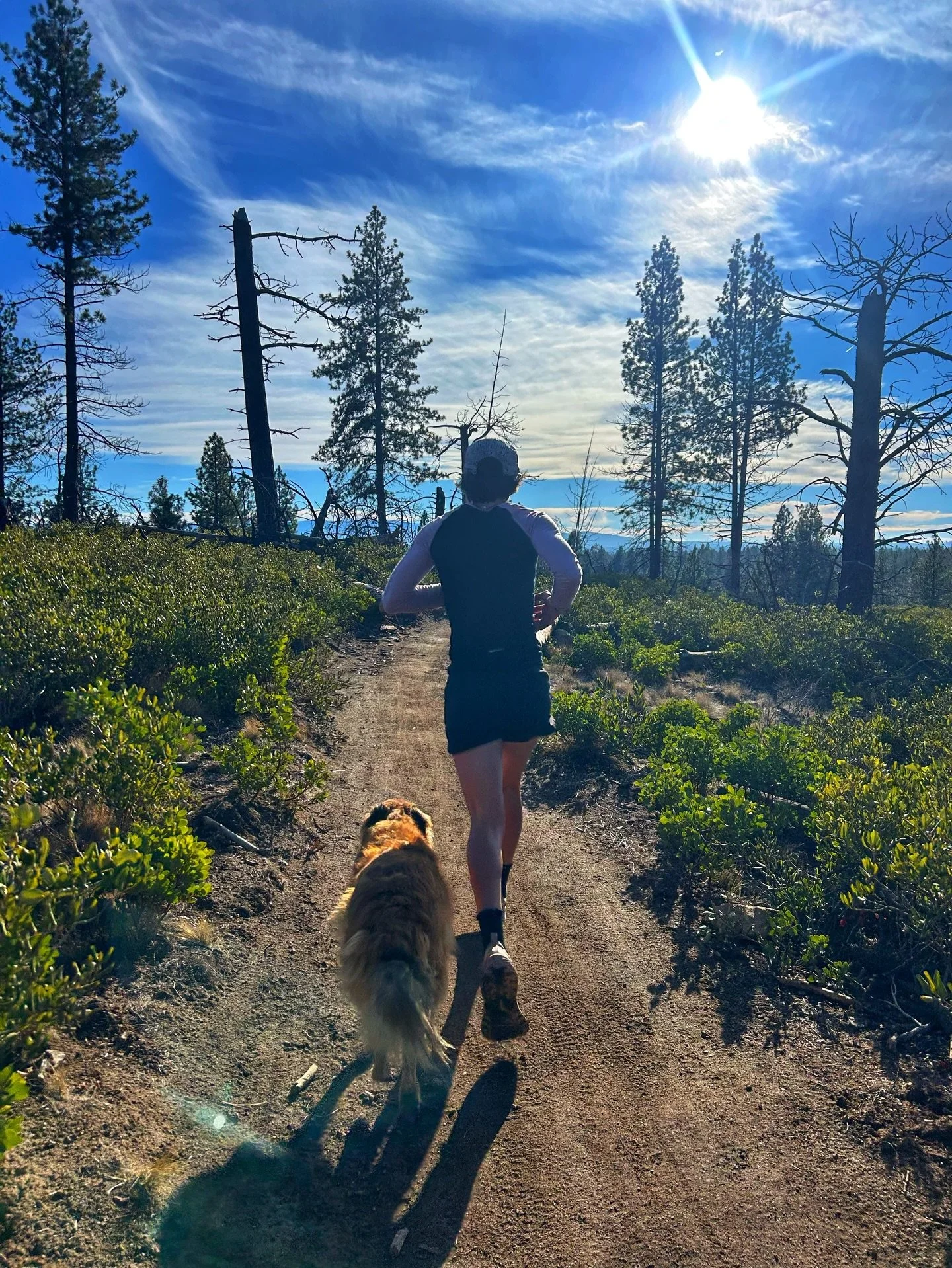There is nothing remarkable about this photo, nor today&rsquo;s run, on the surface. But below the surface, the story that goes untold, is full of fissures and jagged points, and niggles and doubt&hellip;and determination, a joyful heart and a curiou