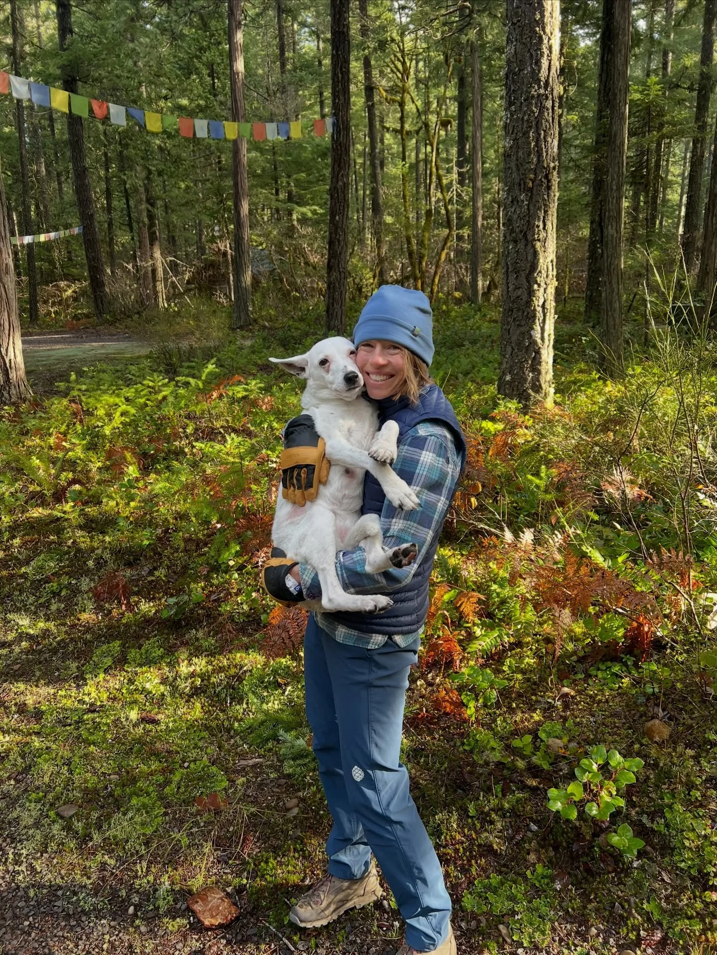 Four years ago we took a shot, and to our surprise, we scored. 

Piper thinks we bought the cabin for her, the dream dog house in the woods. We let her hold onto that, while we relish the quiet energy of big trees, big mountains, big spaces&hellip;. 