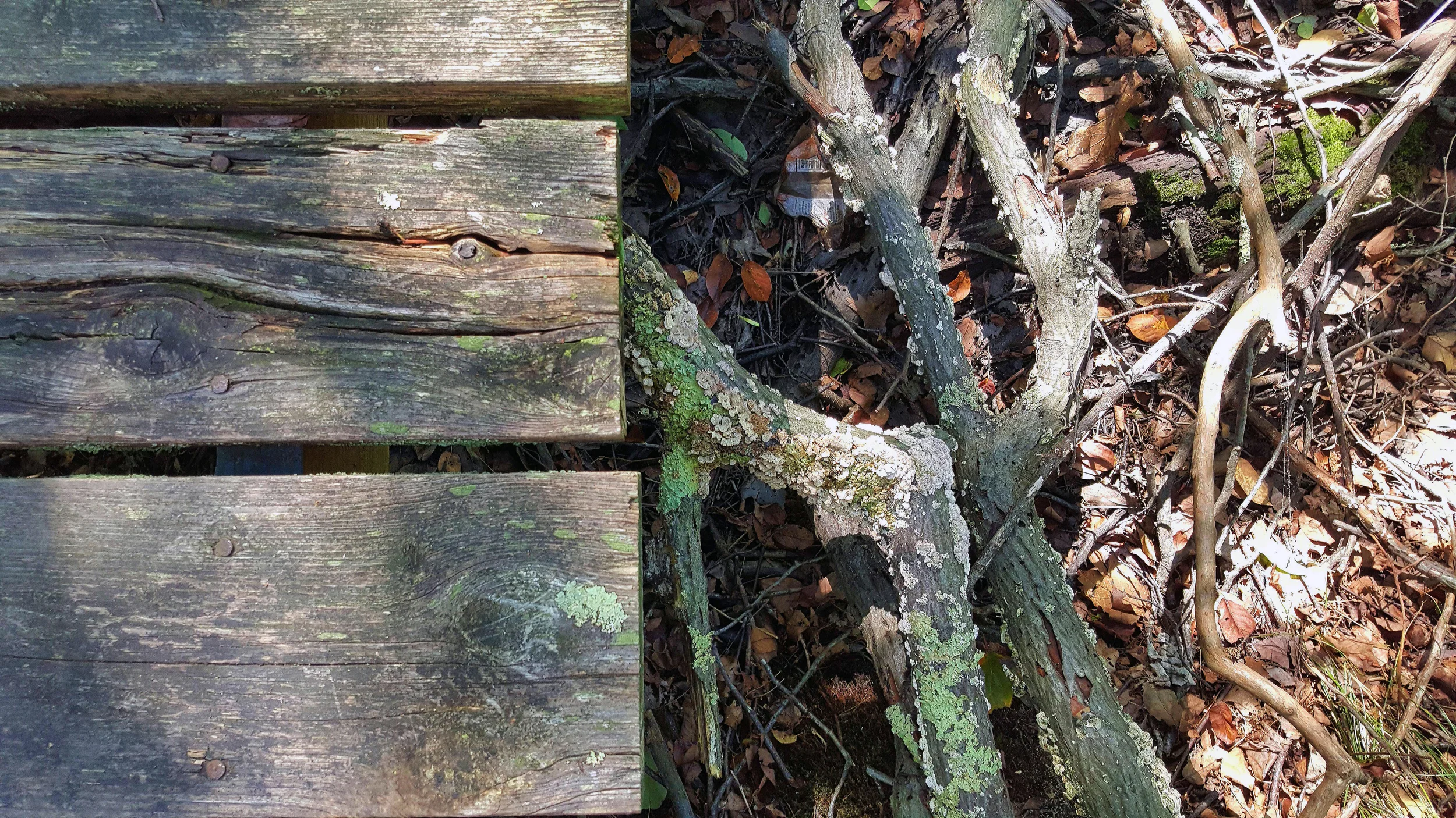 20150915_110750.jpg