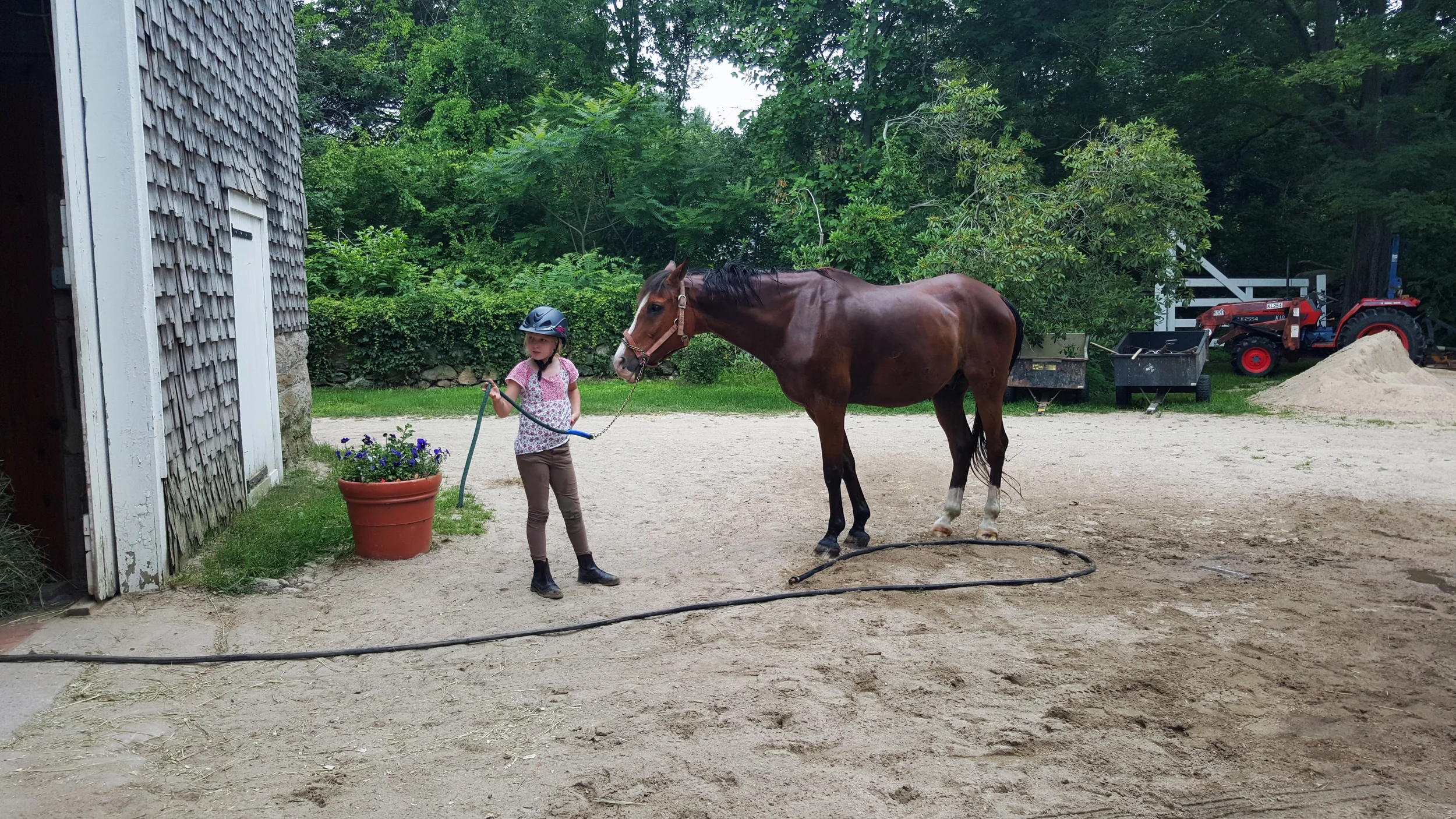 20150709_114227.jpg