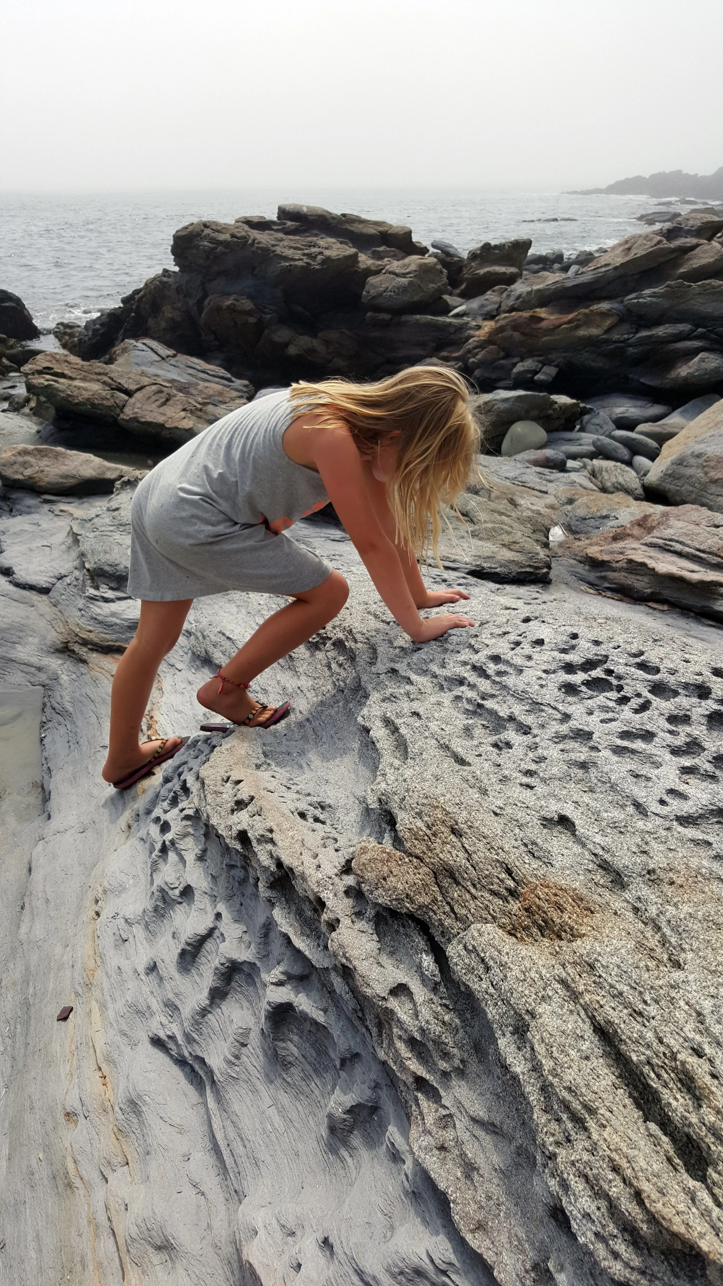 20150825_133705.jpg