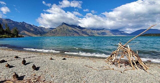 Seven years ago I was able to embark on the journey of a lifetime. Now I'm back in the place where it all began. I cannot be grateful enough for another opportunity to travel this incredible country. No words can describe the beauty of New Zealand; t