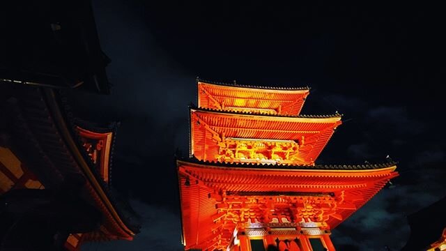 The contrast of the bright red Japanese maple trees with the Kiyomizu-dera Temple fully illuminated at night was a sight like no other.