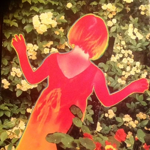 SoulCollage® Workshop