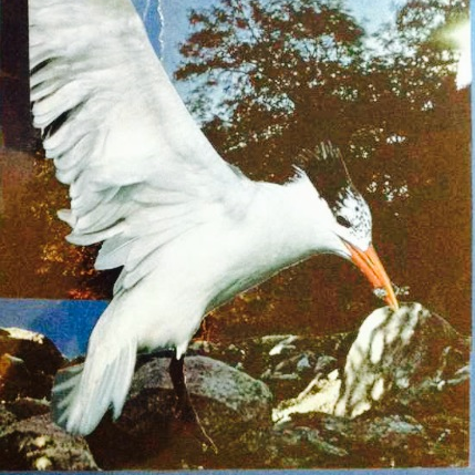 SoulCollage® Workshop