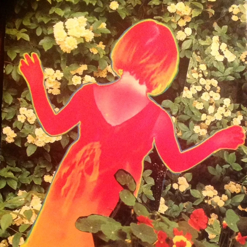 SoulCollage© GrowYourDeck Workshop