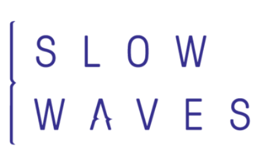 SLOW WAVES