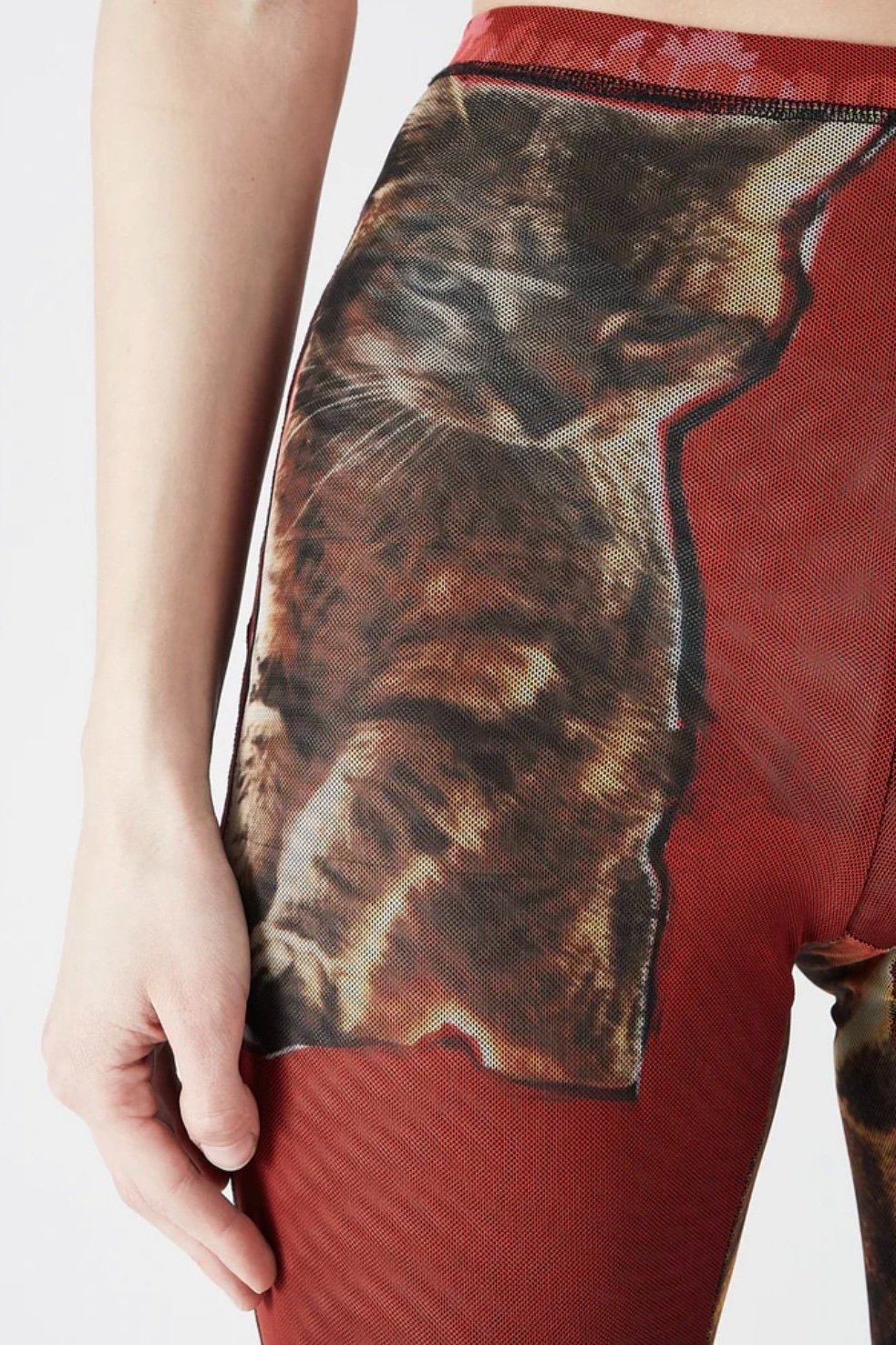 OTTOLINGER Mesh Pants