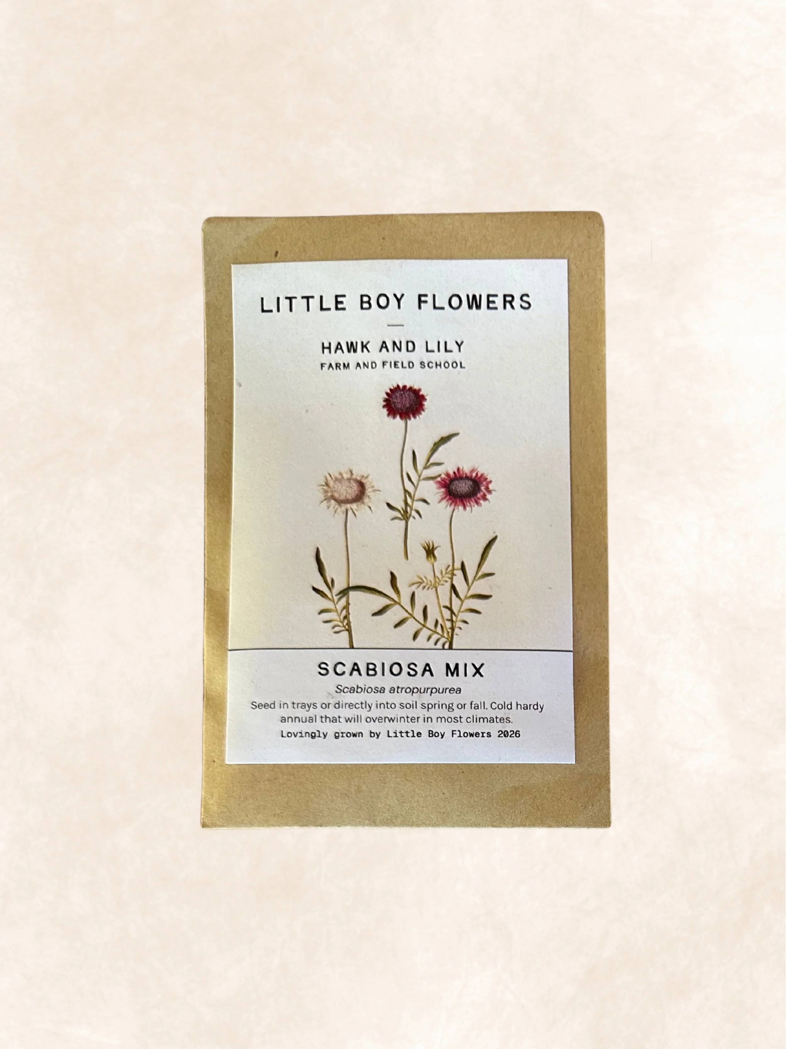 SCABIOSA MIX